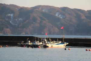 唐丹の漁業の特色1