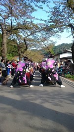 釜石桜祭り